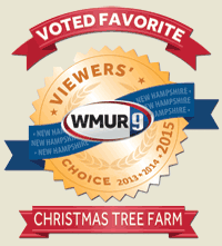 WMUR Viewers' Choice